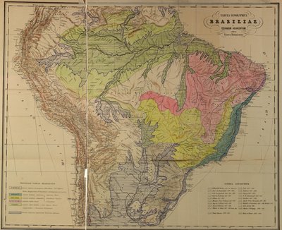 Map of the Floristic Provinces of Brazil by Martius by Unbekannt Unbekannt